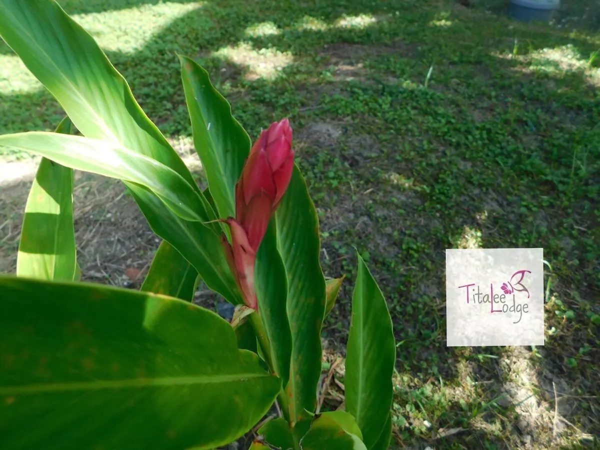 Titalee Lodge 3 Villas Autour D'Une Piscine 圣弗朗索瓦 0*,  瓜德罗普