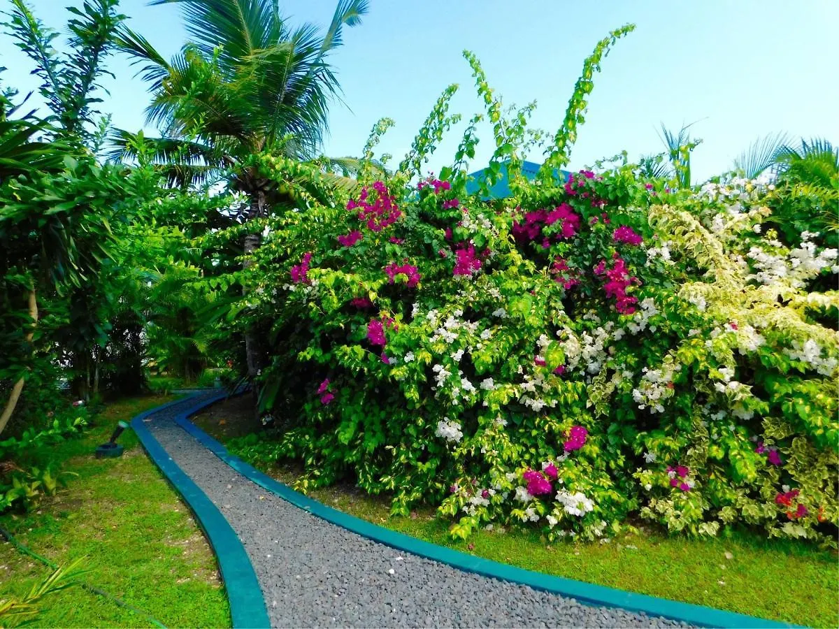 Titalee Lodge 3 Villas Autour D'Une Piscine 圣弗朗索瓦