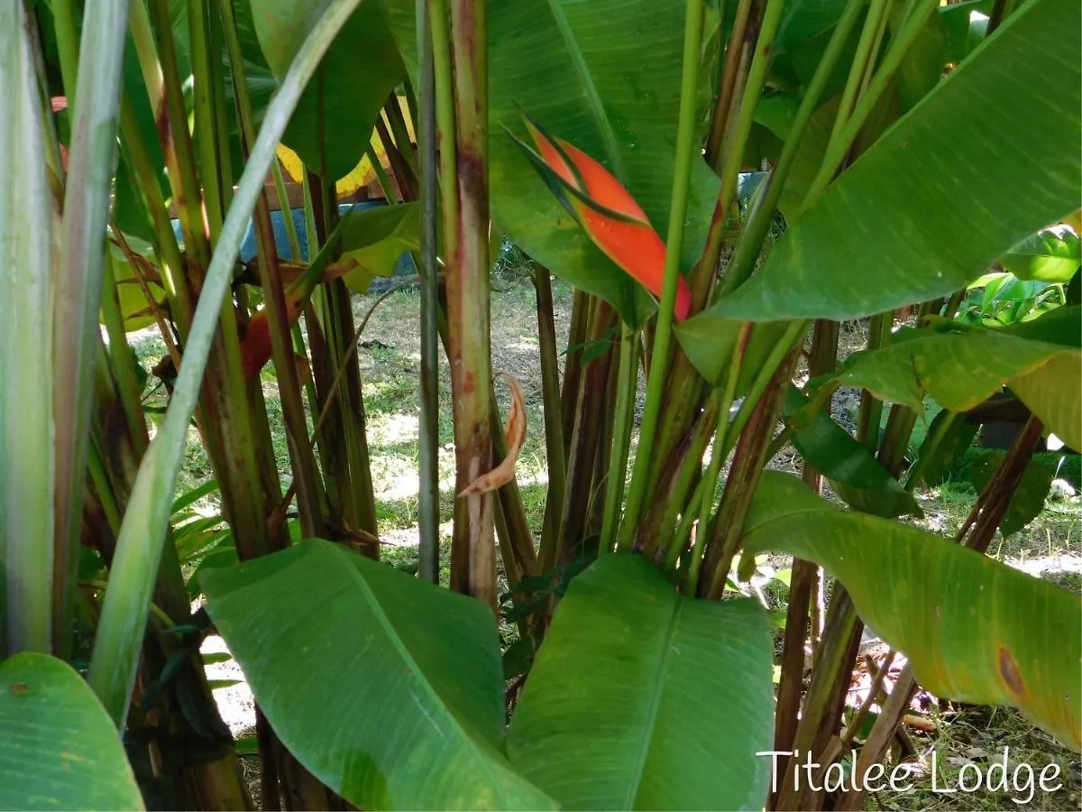 Titalee Lodge 3 Villas Autour D'Une Piscine 圣弗朗索瓦